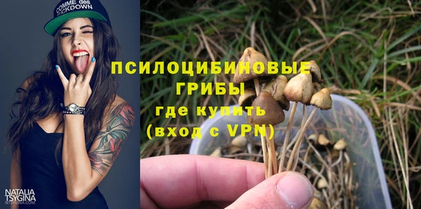 герыч Алексин
